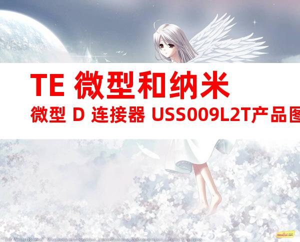 TE 微型和纳米微型 D 连接器 USS009L2T产品图纸
